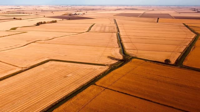 Gallery image 572af755-9c82-4a8c-a64d-d9735a3d337a