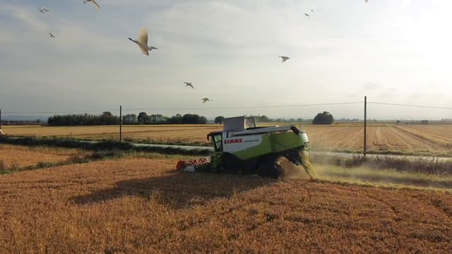 Gallery image 60f0eb1e-7a7d-4d0f-8af1-e4ed2d844c04