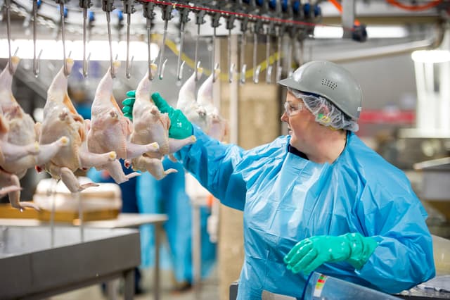 Gallery image f250089f-cdcc-4c58-9d5c-be7a8d725bcc