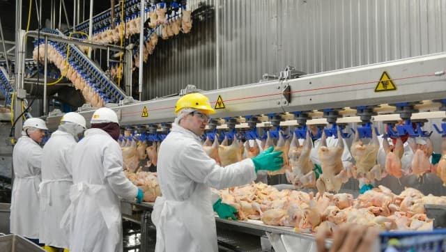 Gallery image 4c4e7406-588b-466c-b078-2d9b53a169db