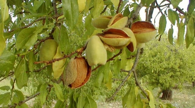 Gallery image 16b12930-37c2-4e2b-8129-a9496384fe50