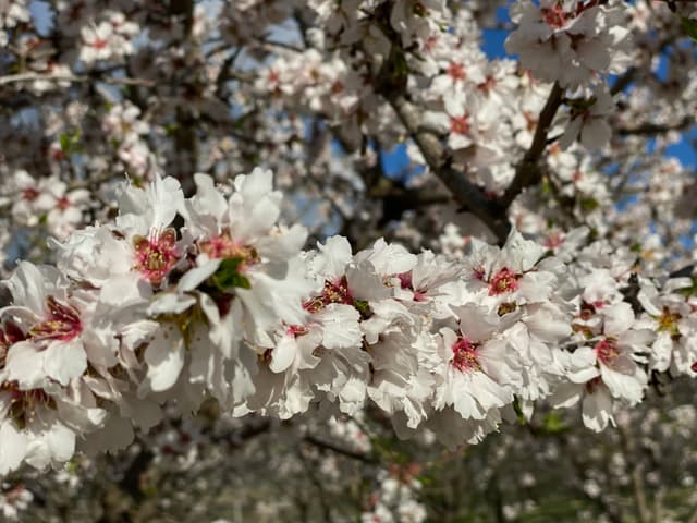 Gallery image bd51280b-ce9a-4d83-810a-84accd781d5b