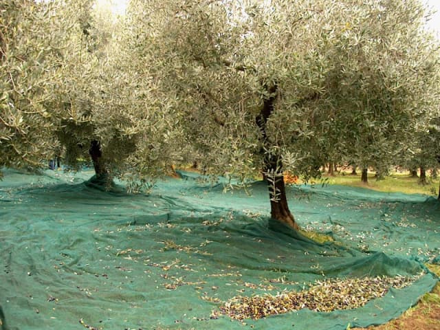 Gallery image 2ea92b39-8560-424d-96e4-1012c3bb8adf