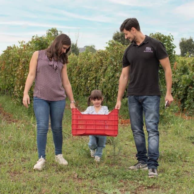 Gallery image fa13e708-5a83-4065-89d0-5448c9e00b69