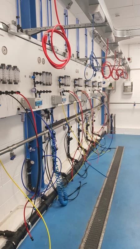 Gallery image e98915e0-c5ee-4d99-928f-b048f26a07a1